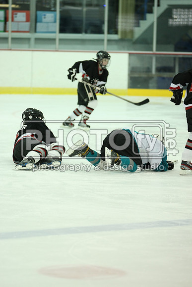 ICEPAL_2-20-12_1060