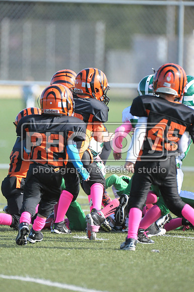 BDAYF_10-19-14_1140