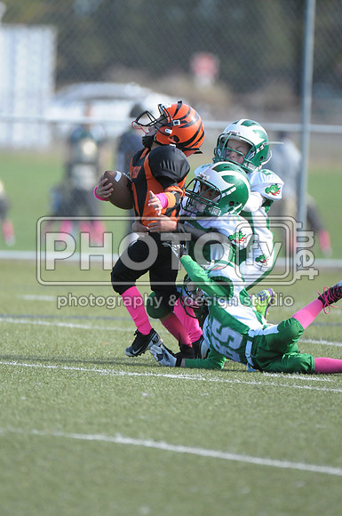 BDAYF_10-19-14_1097