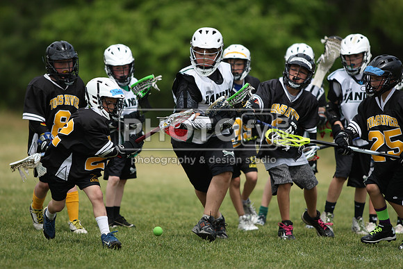 BYLT_05-17-15_10866