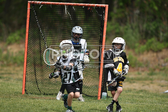 BYLT_05-17-15_10553