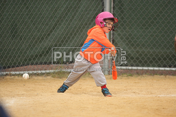 PPBLL_5-9-15_2480