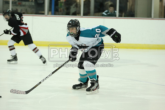 ICEPAL_2-20-12_1161
