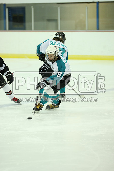 ICEPAL_2-20-12_1053