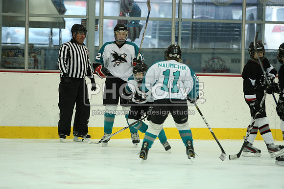 ICEPAL_2-20-12_1166