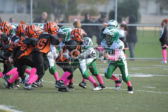 BDAYF_10-19-14_1058