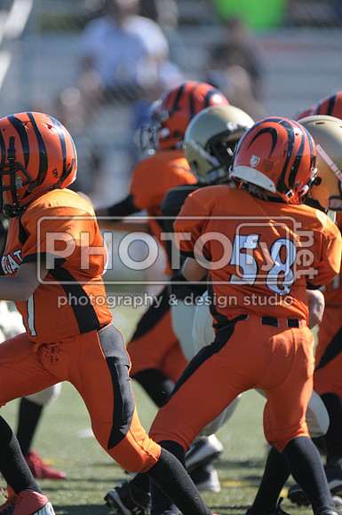 BMAYF_9-22-13_1389