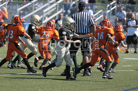BMAYF_9-22-13_1624