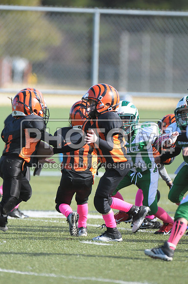 BDAYF_10-19-14_1134