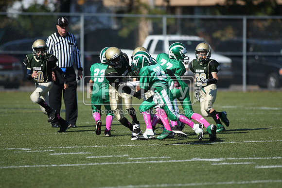 BDHS_10-20-13__1981