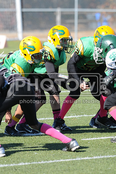 NJAYF_10-27-13__1867