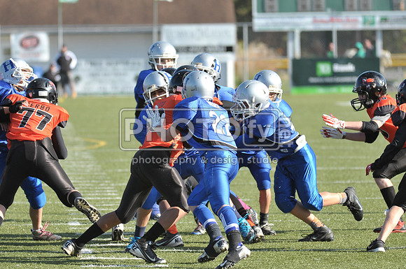 NJAYF_11-3-13_2154