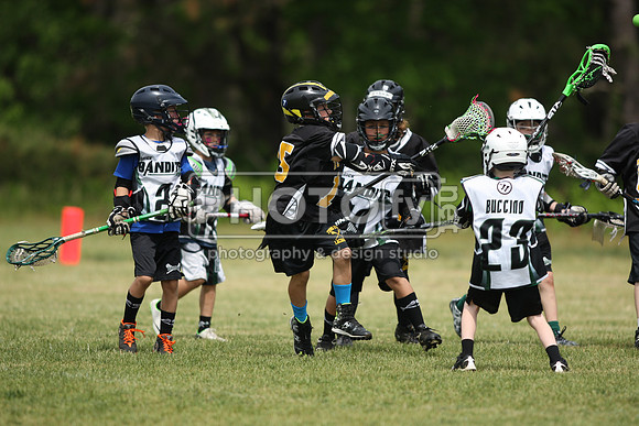 BYLT_05-17-15_10438