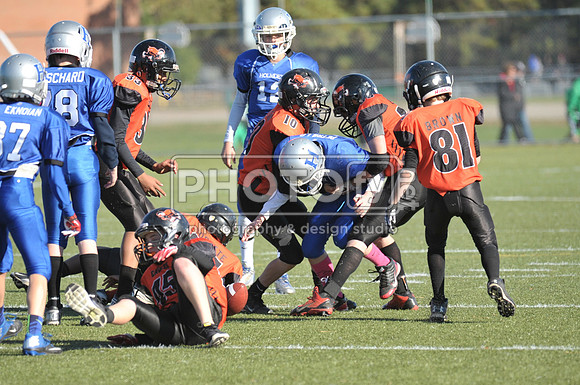 NJAYF_11-3-13_2084
