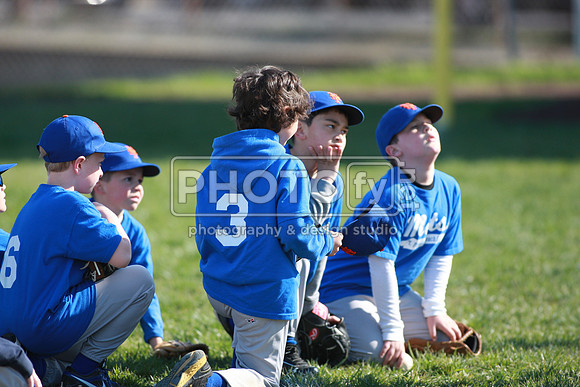 PPBLL_4-27-13_1052