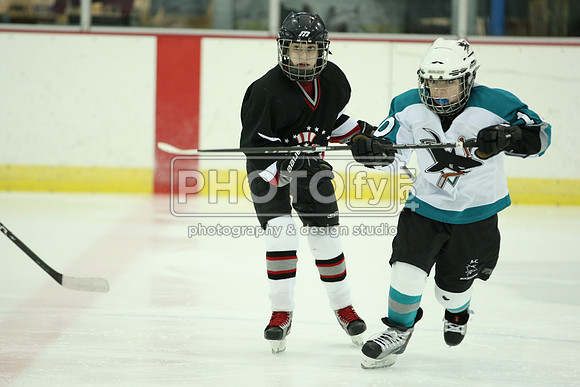 ICEPAL_2-20-12_1179