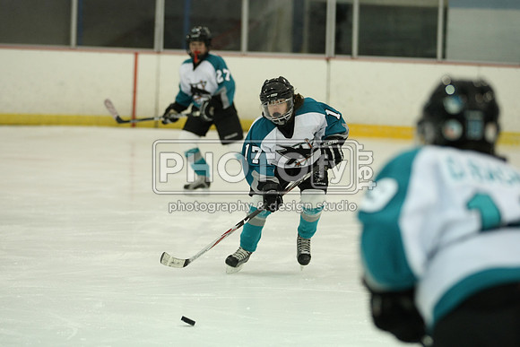 ICEPAL_2-20-12_1033
