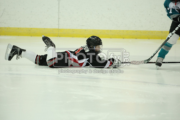 ICEPAL_2-20-12_1045