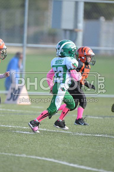 BDAYF_10-19-14_1079