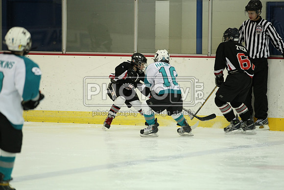 ICEPAL_2-20-12_1085