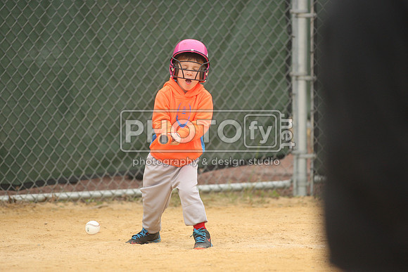 PPBLL_5-9-15_2465