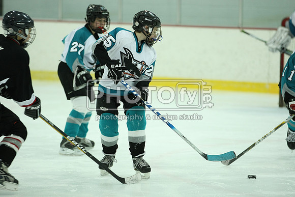 ICEPAL_2-20-12_1136