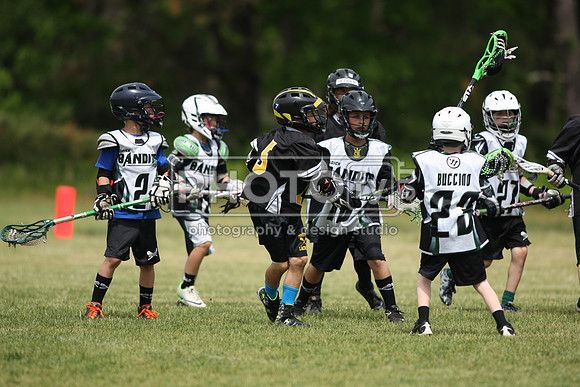 BYLT_05-17-15_10439