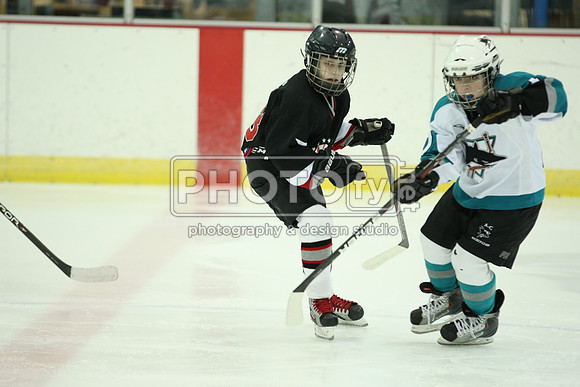 ICEPAL_2-20-12_1176