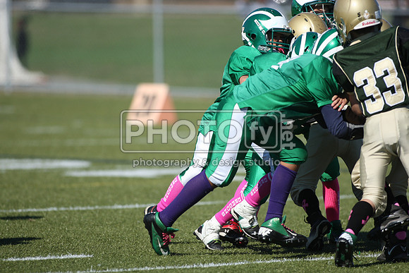 BDHS_10-20-13__2026