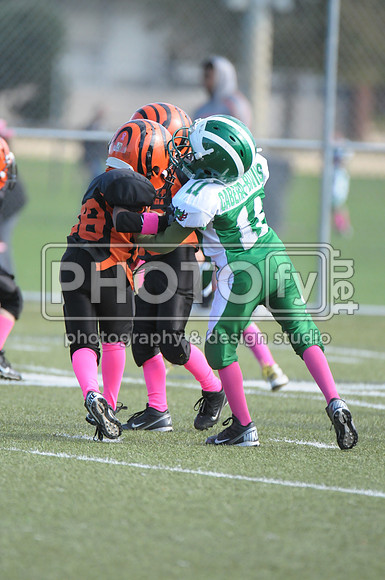 BDAYF_10-19-14_1078