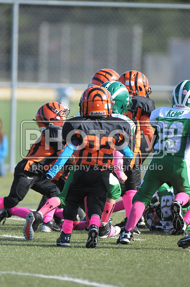 BDAYF_10-19-14_1138