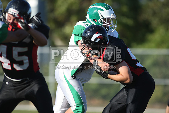 BDHS_10-6-14_1174