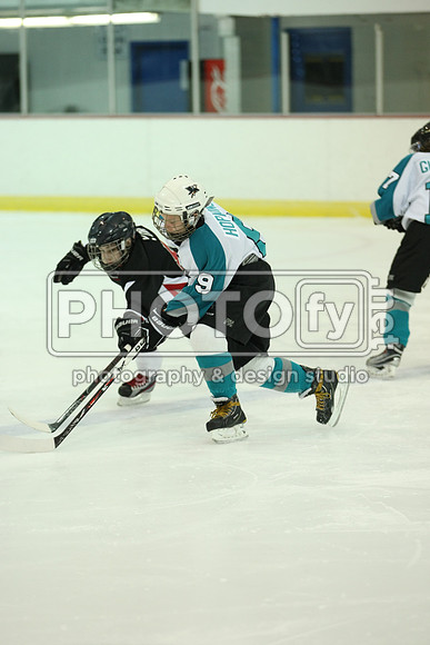 ICEPAL_2-20-12_1054