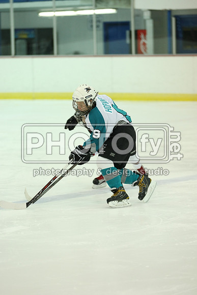 ICEPAL_2-20-12_1059