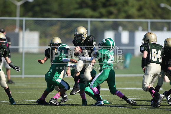 BDHS_10-20-13__2086