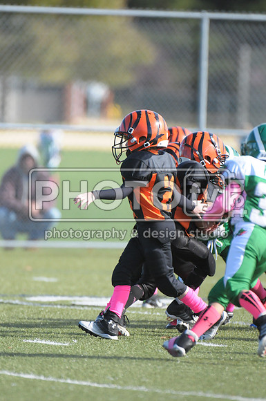 BDAYF_10-19-14_1136