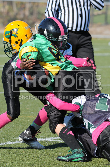 NJAYF_10-27-13__2012