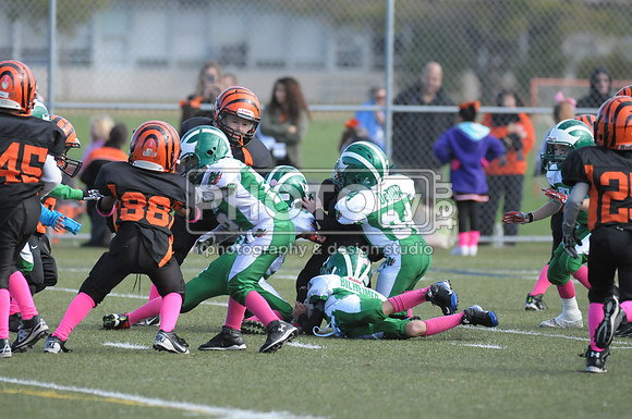 BDAYF_10-19-14_1063