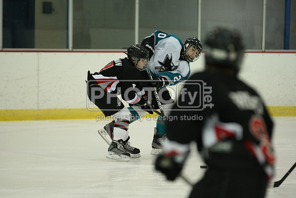 ICEPAL_2-20-12_1129