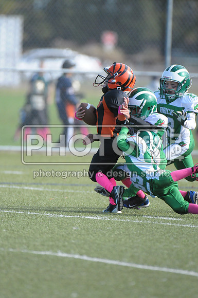 BDAYF_10-19-14_1096