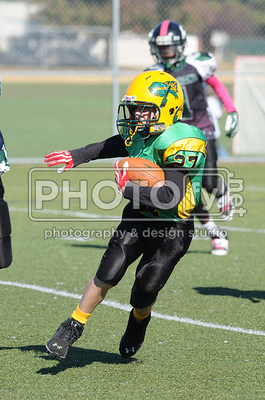 NJAYF_10-27-13__1996