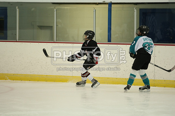 ICEPAL_2-20-12_1145