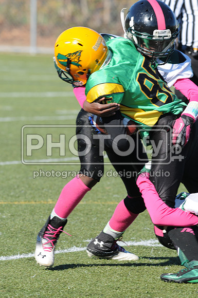 NJAYF_10-27-13__2013