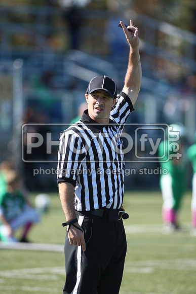 BDHS_10-20-13__2008