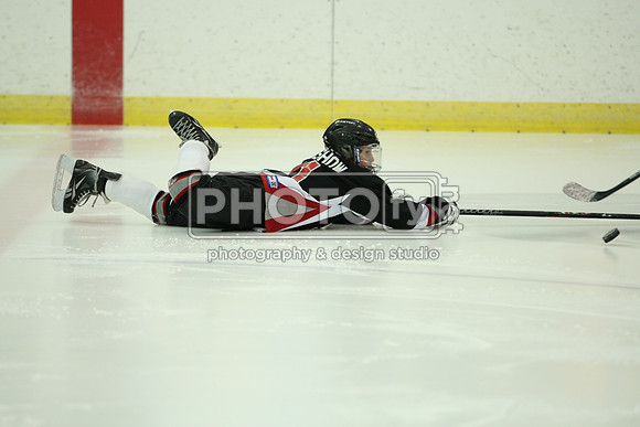 ICEPAL_2-20-12_1044