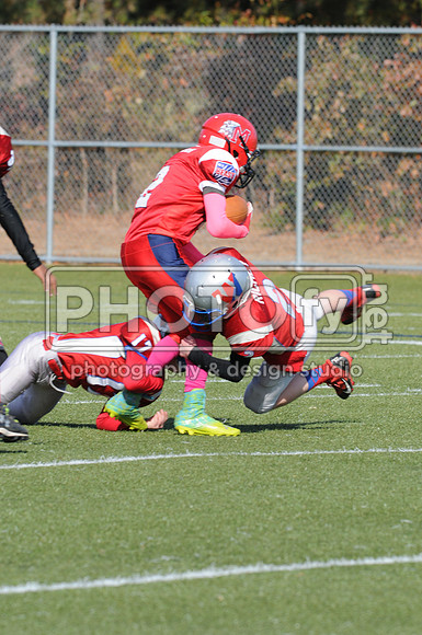 NJAYF_10-27-13__1487