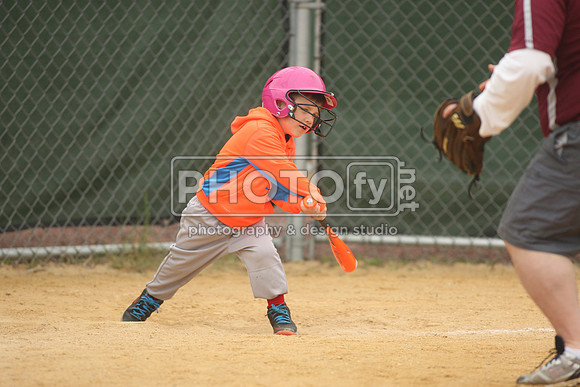 PPBLL_5-9-15_2475