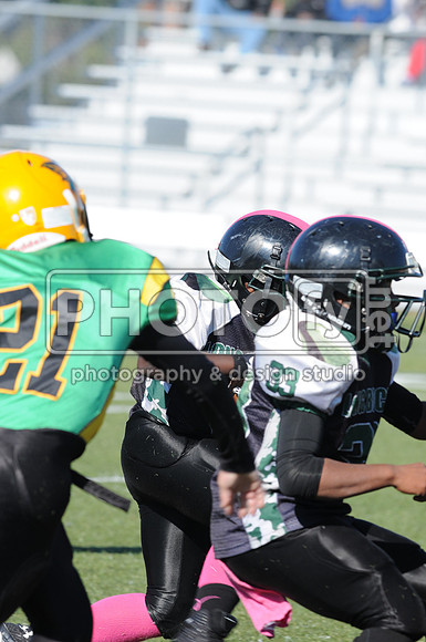 NJAYF_10-27-13__1957