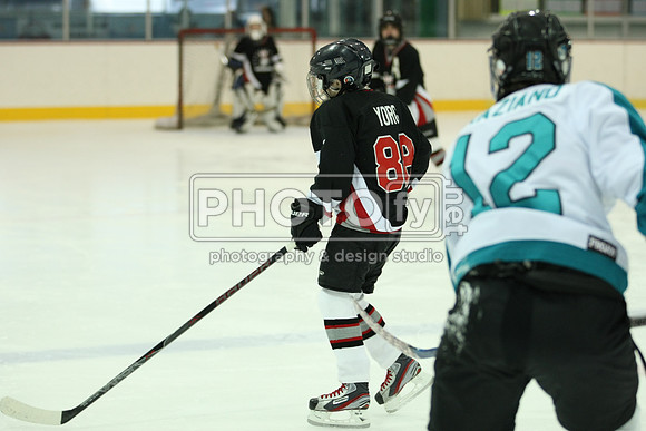 ICEPAL_2-20-12_1050