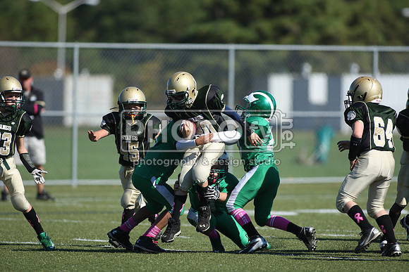 BDHS_10-20-13__2087